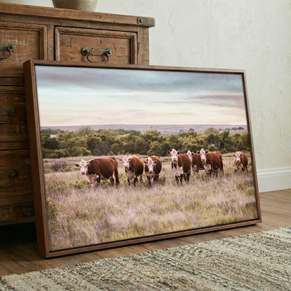 Hereford Cattle Wall Art Wall Art Teri James Photography