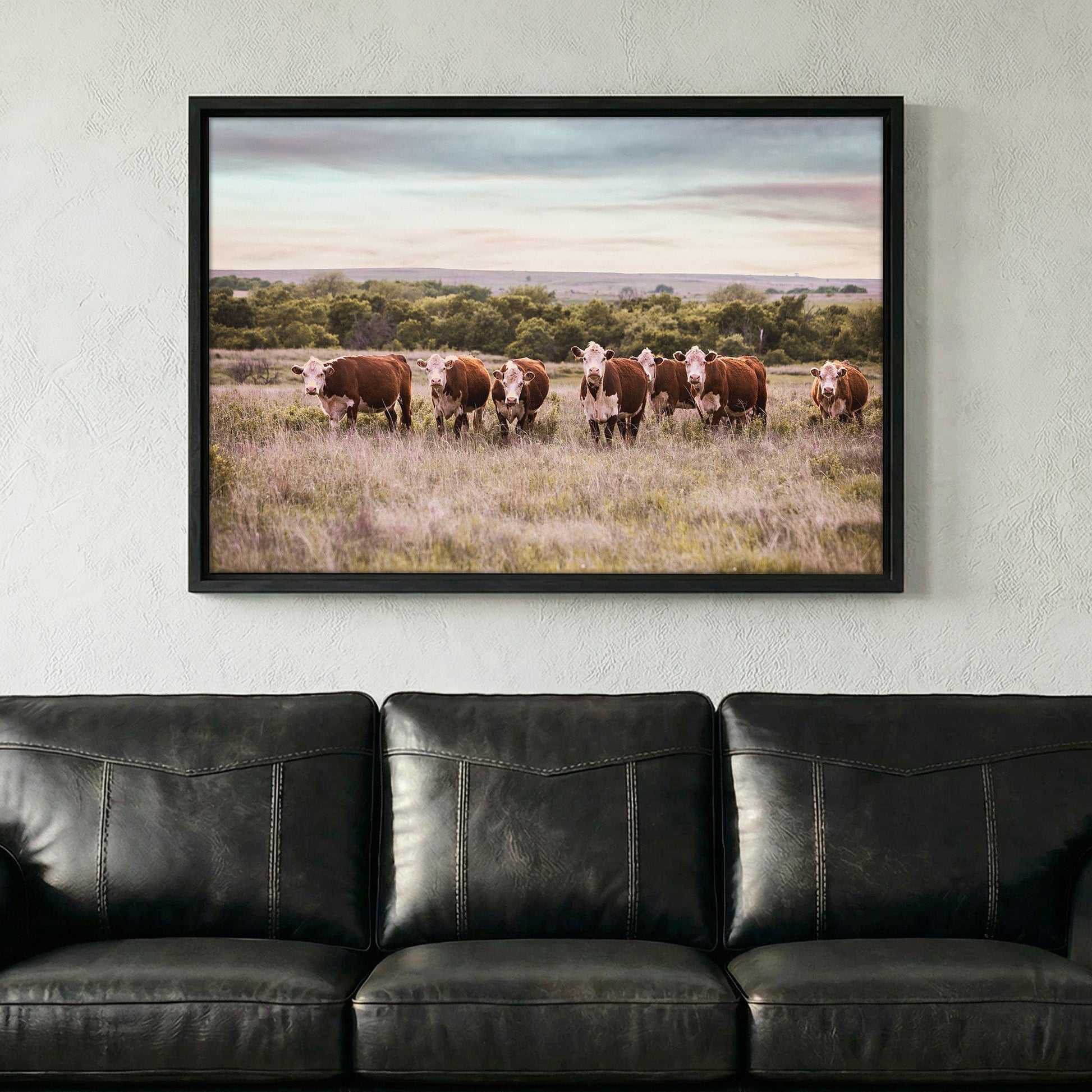 Hereford Cattle Wall Art Wall Art Teri James Photography