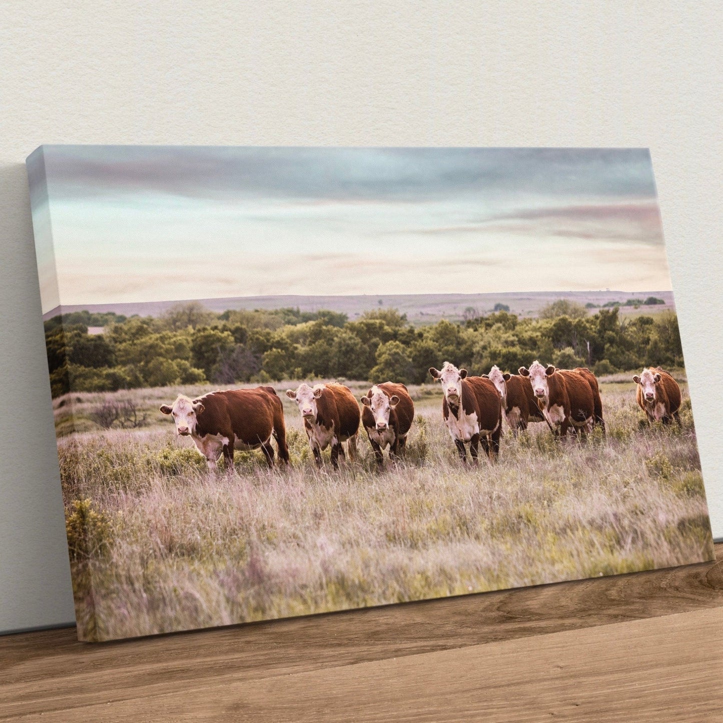 Hereford Cattle Wall Art Canvas-Unframed / 12 x 18 Inches Wall Art Teri James Photography