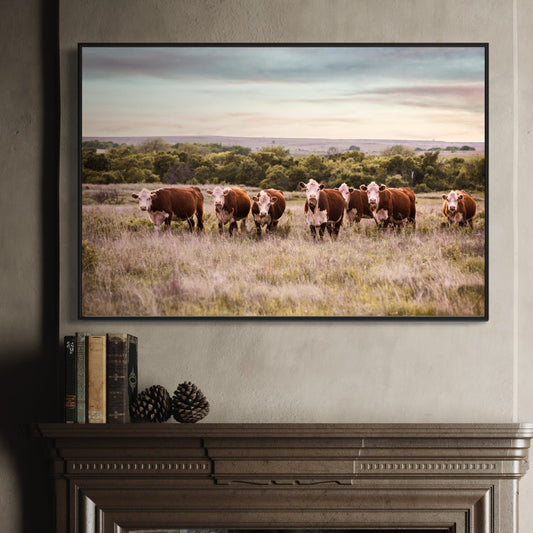 Hereford Cattle Wall Art Wall Art Teri James Photography