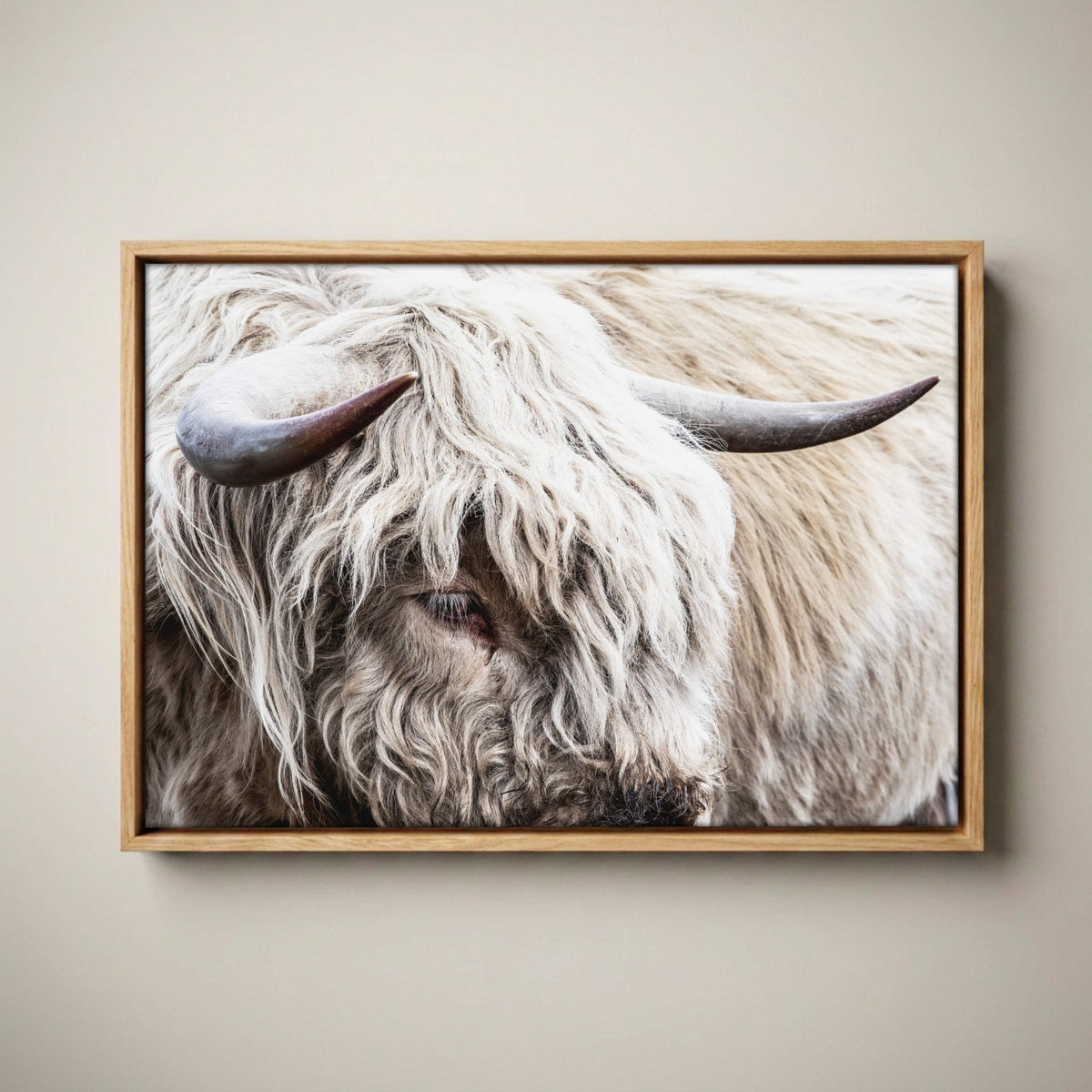 Highland Bull Canvas Print - Modern Cow Art Canvas-Natural Oak Float Frame / 12 x 18 Inches