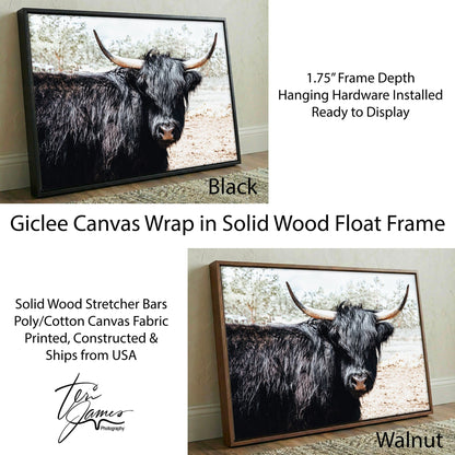 Highland Cattle Picture - Rustic Farmhouse Wall Art Framed Canvas Print Canvas-Black Frame / 12 x 18 Inches Wall Art Teri James Photography