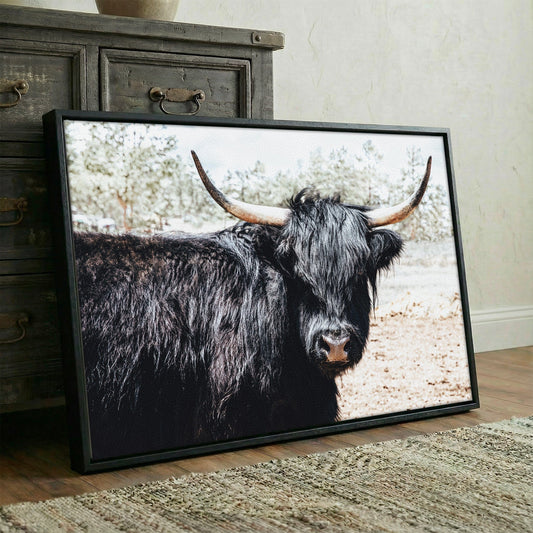Highland Cattle Picture Wall Art Teri James Photography