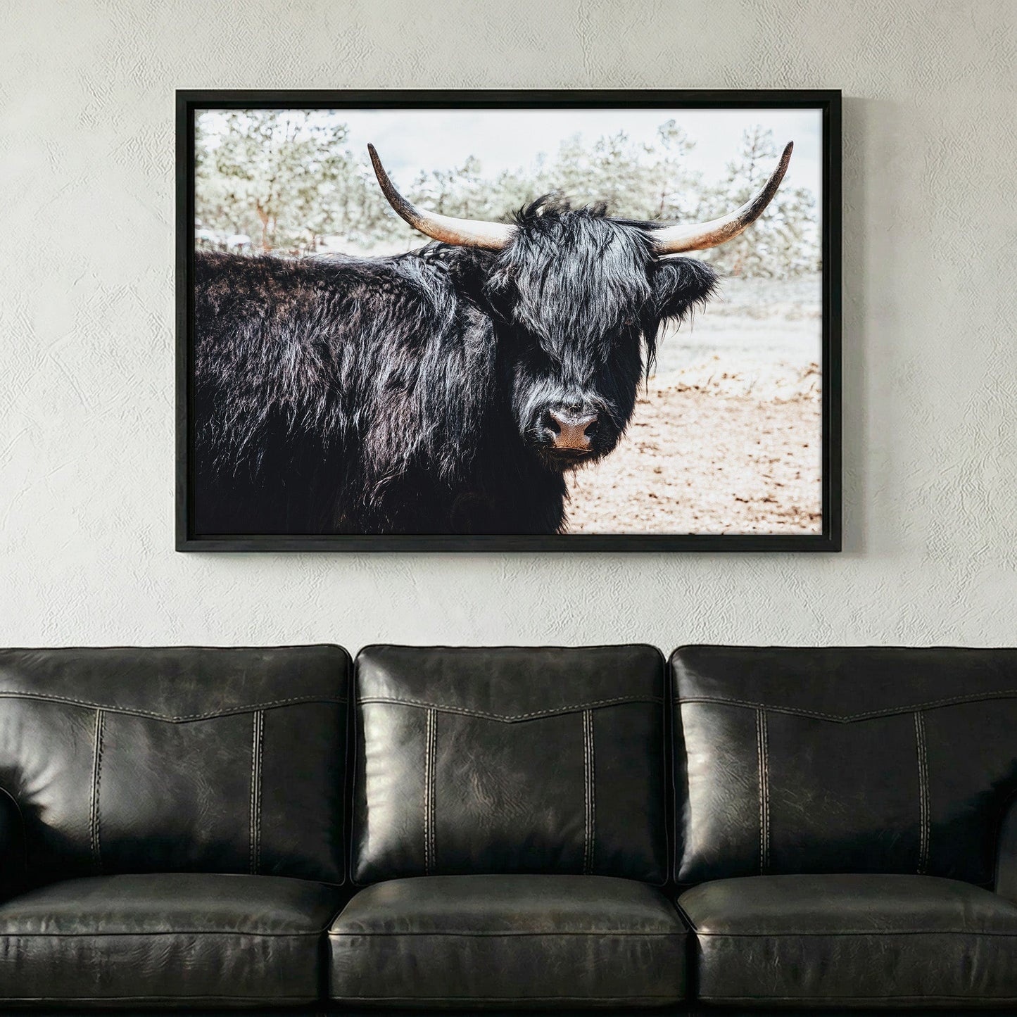 Highland Cattle Picture Wall Art Teri James Photography