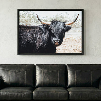 Highland Cattle Picture Wall Art Teri James Photography