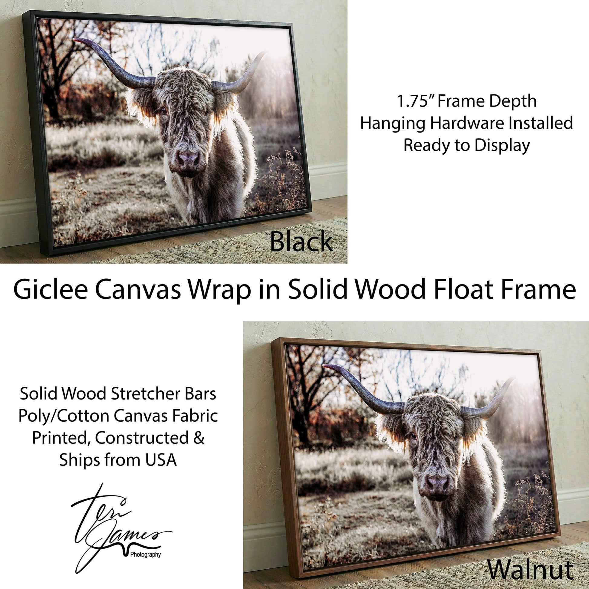 Highland Cow Canvas - Blonde Highland Cow Print Rustic Farmhouse Wall Art Canvas-Black Frame / 12 x 18 Inches Wall Art Teri James Photography