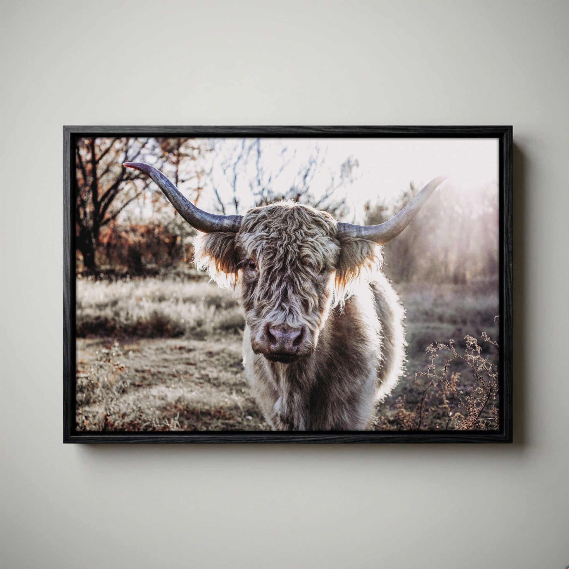Highland Cow Canvas - Blonde Highland Cow Print