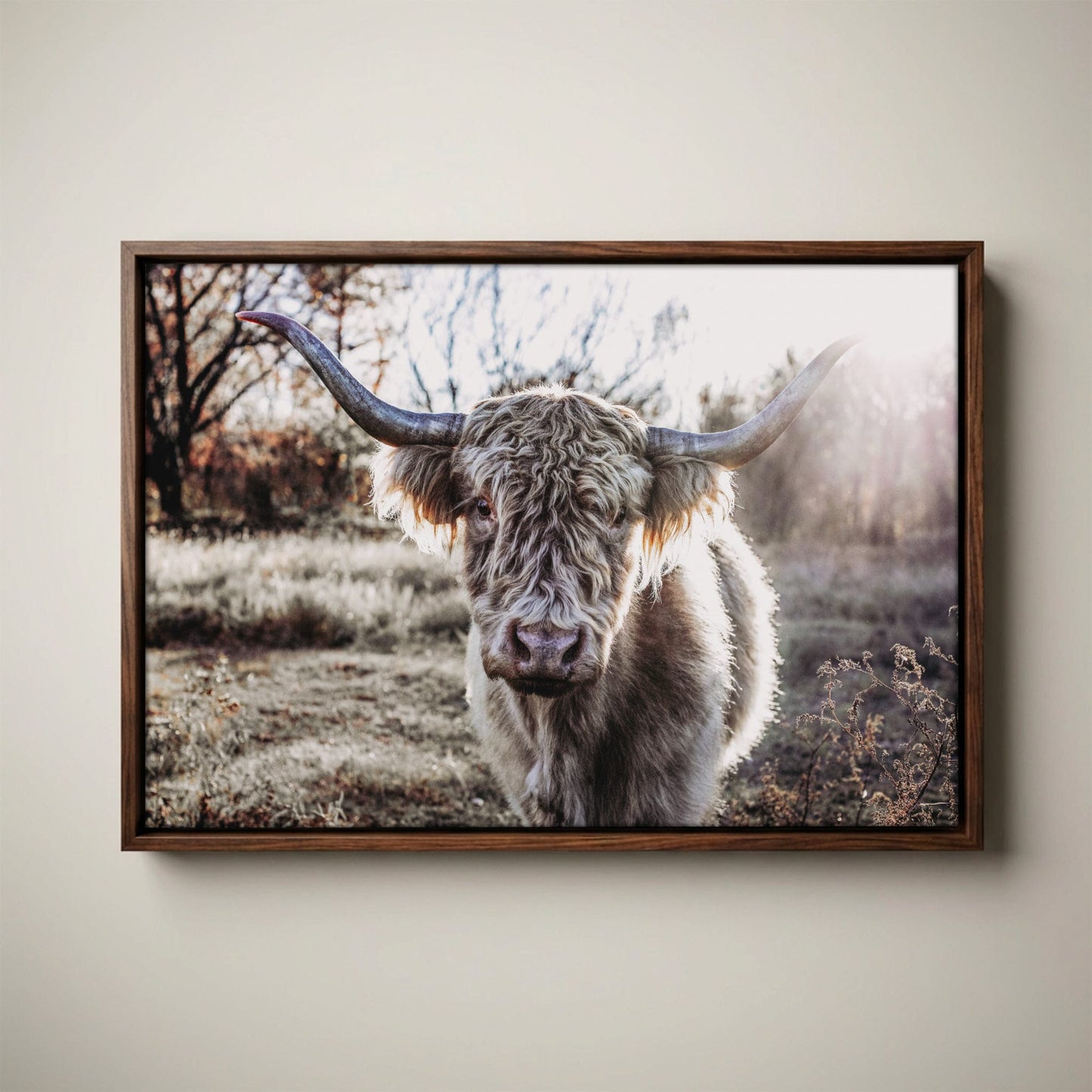 Highland Cow Canvas - Blonde Highland Cow Print