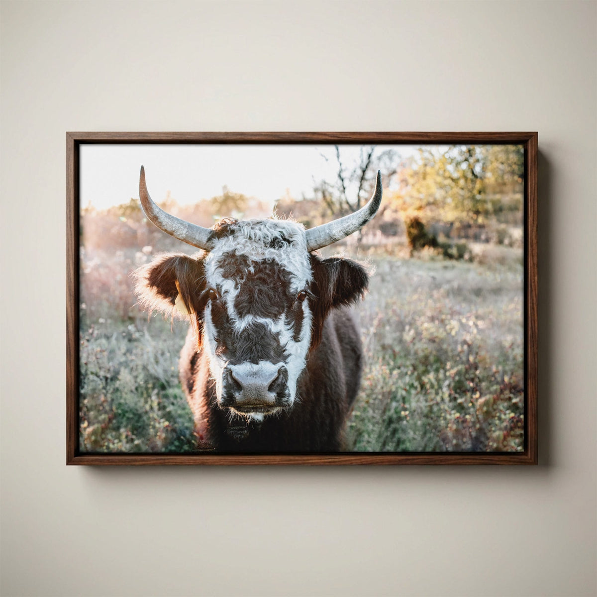 Highland Cow Canvas Print - Black and White Cow