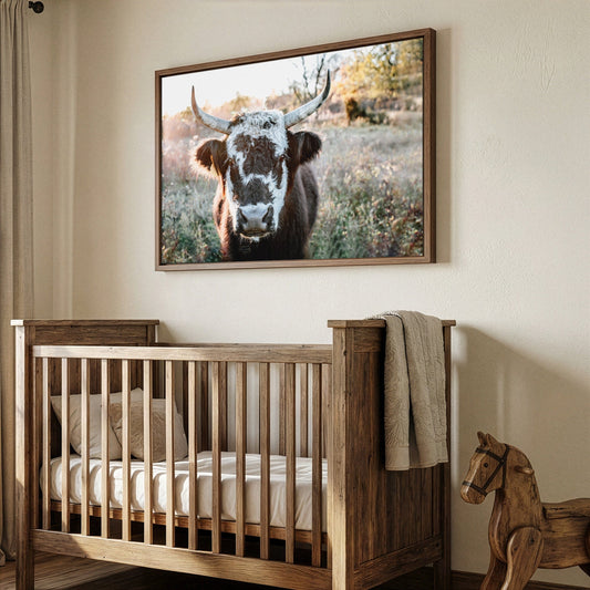 Highland Cow Canvas Print - Black and White Cow Wall Art Teri James Photography