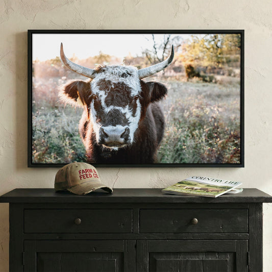 Highland Cow Canvas Print - Black and White Cow Wall Art Teri James Photography