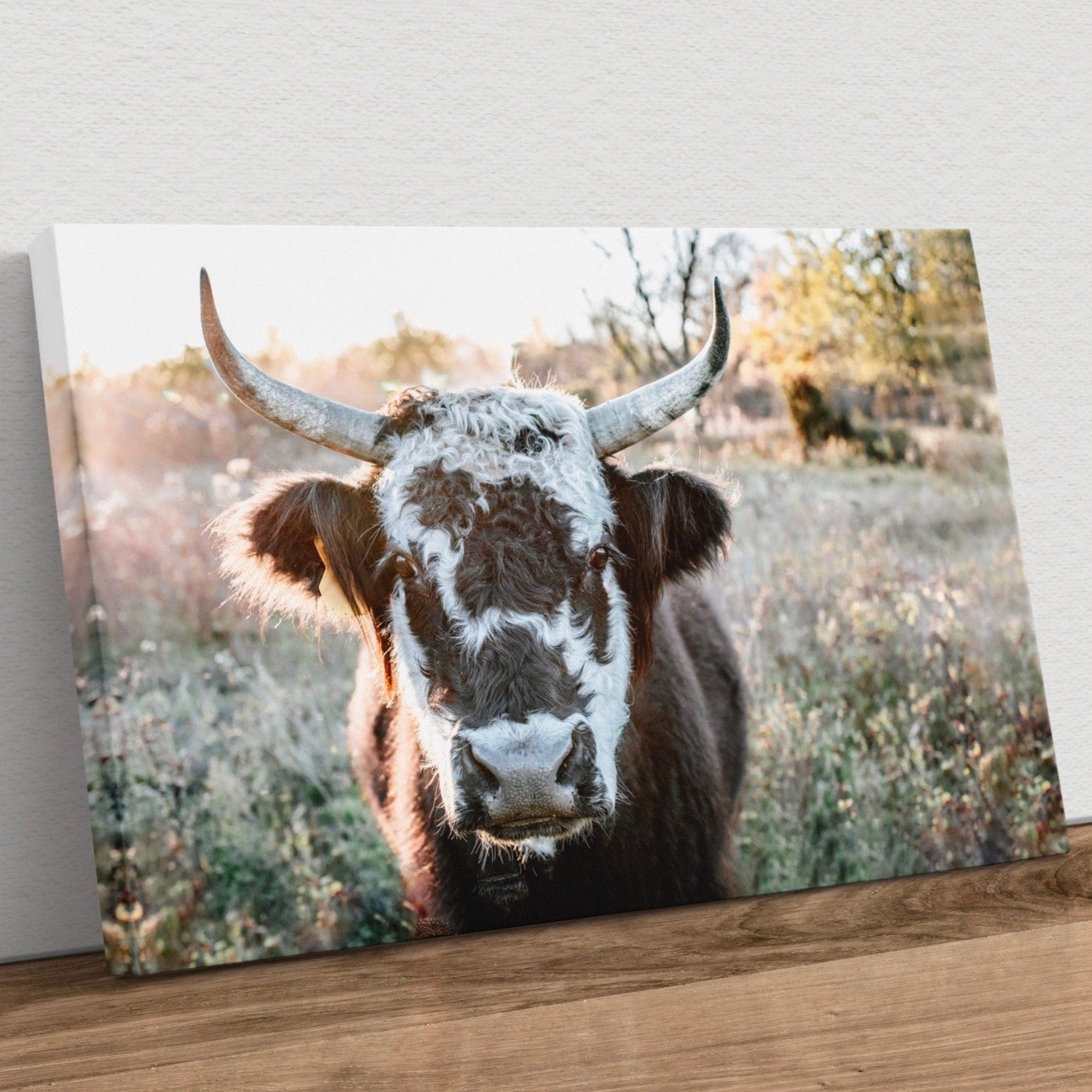 Highland Cow Canvas Print - Black and White Cow Canvas-Unframed / 12 x 18 Inches Wall Art Teri James Photography