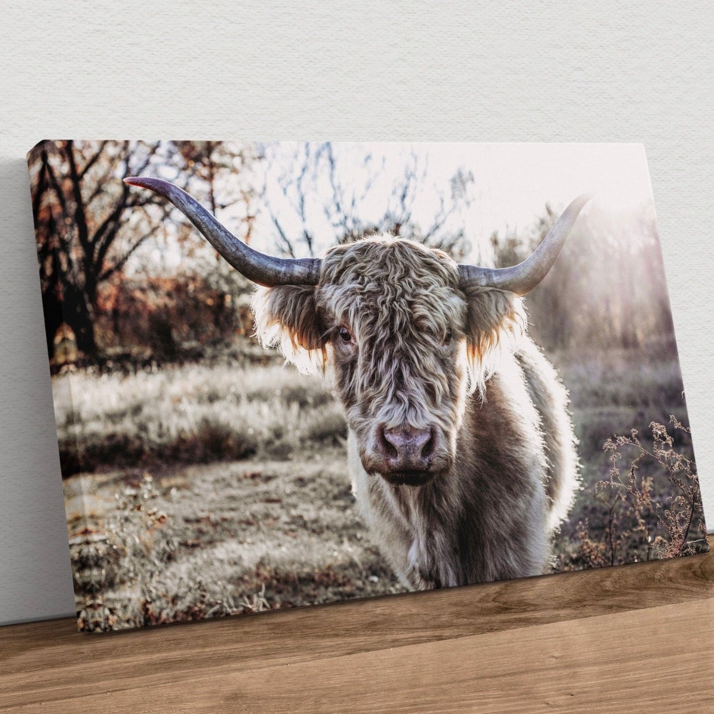Highland Cow Canvas Print Canvas-Unframed / 12 x 18 Inches Wall Art Teri James Photography