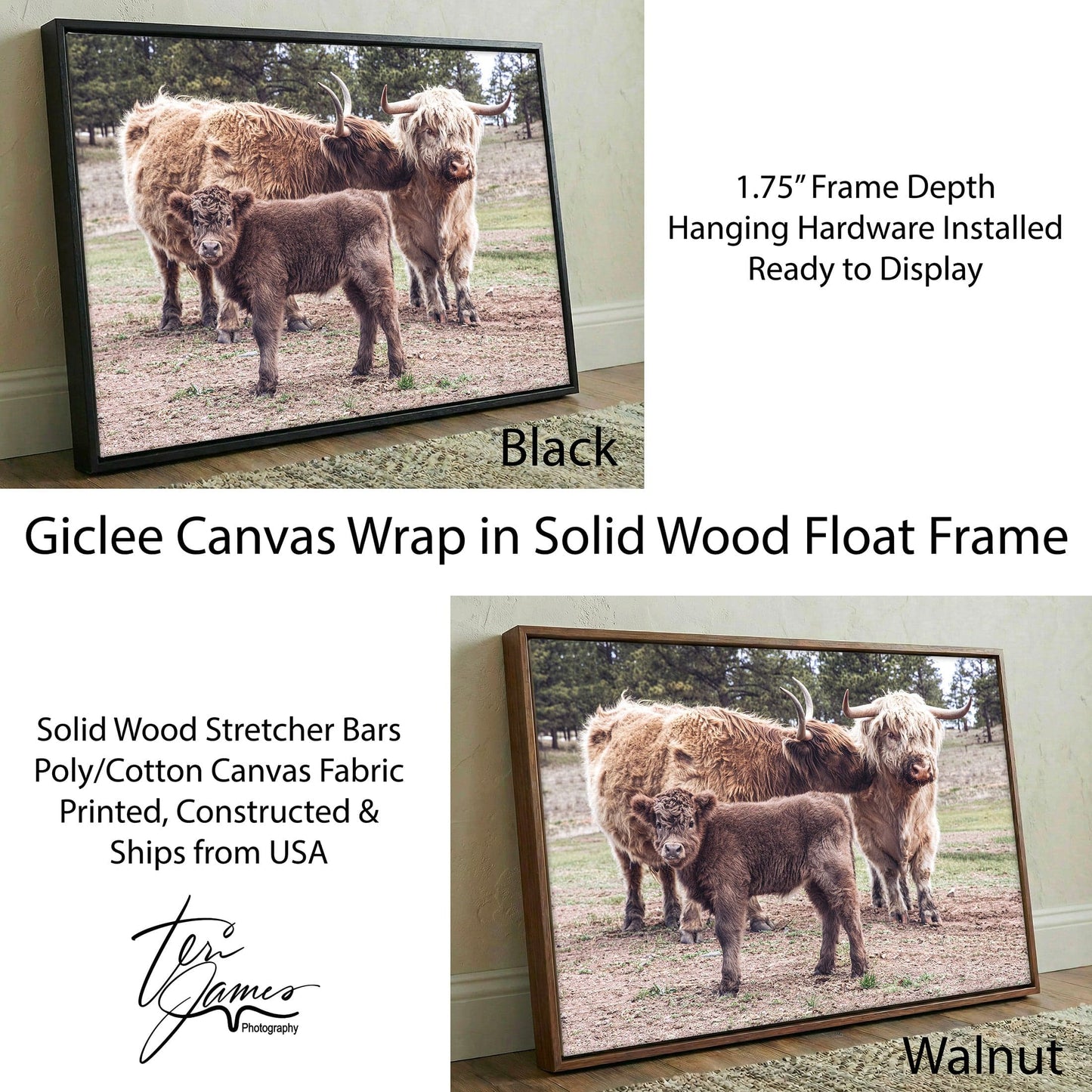 Highland Cow Nursery Canvas - Cute Animal Wall Art For Kids Room Decor Canvas-Black Frame / 12 x 18 Inches Wall Art Teri James Photography