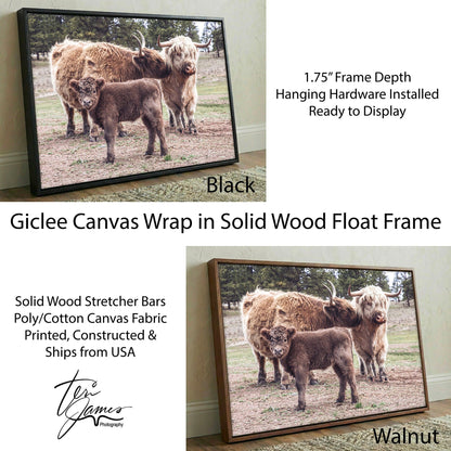 Highland Cow Nursery Canvas - Cute Animal Wall Art For Kids Room Decor Canvas-Black Frame / 12 x 18 Inches Wall Art Teri James Photography