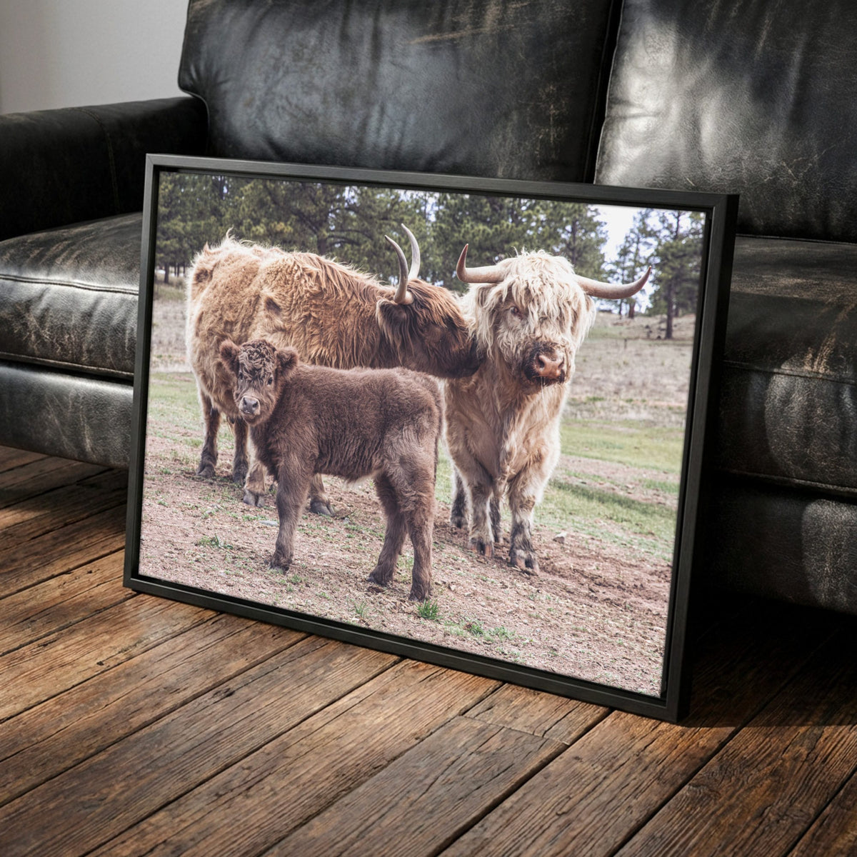 Highland Cow Nursery Canvas - Cute Animal Wall Art For Kids Room Canvas-Black Frame / 12 x 18 Inches