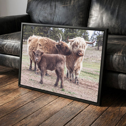 Highland Cow Nursery Canvas - Cute Animal Wall Art For Kids Room Canvas-Black Frame / 12 x 18 Inches