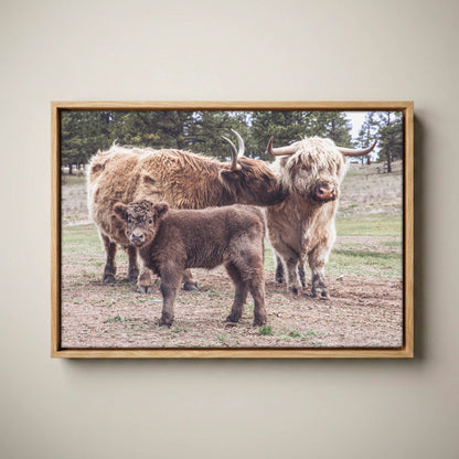 Highland Cow Nursery Canvas - Cute Animal Wall Art For Kids Room Canvas-Natural Oak Float Frame / 12 x 18 Inches
