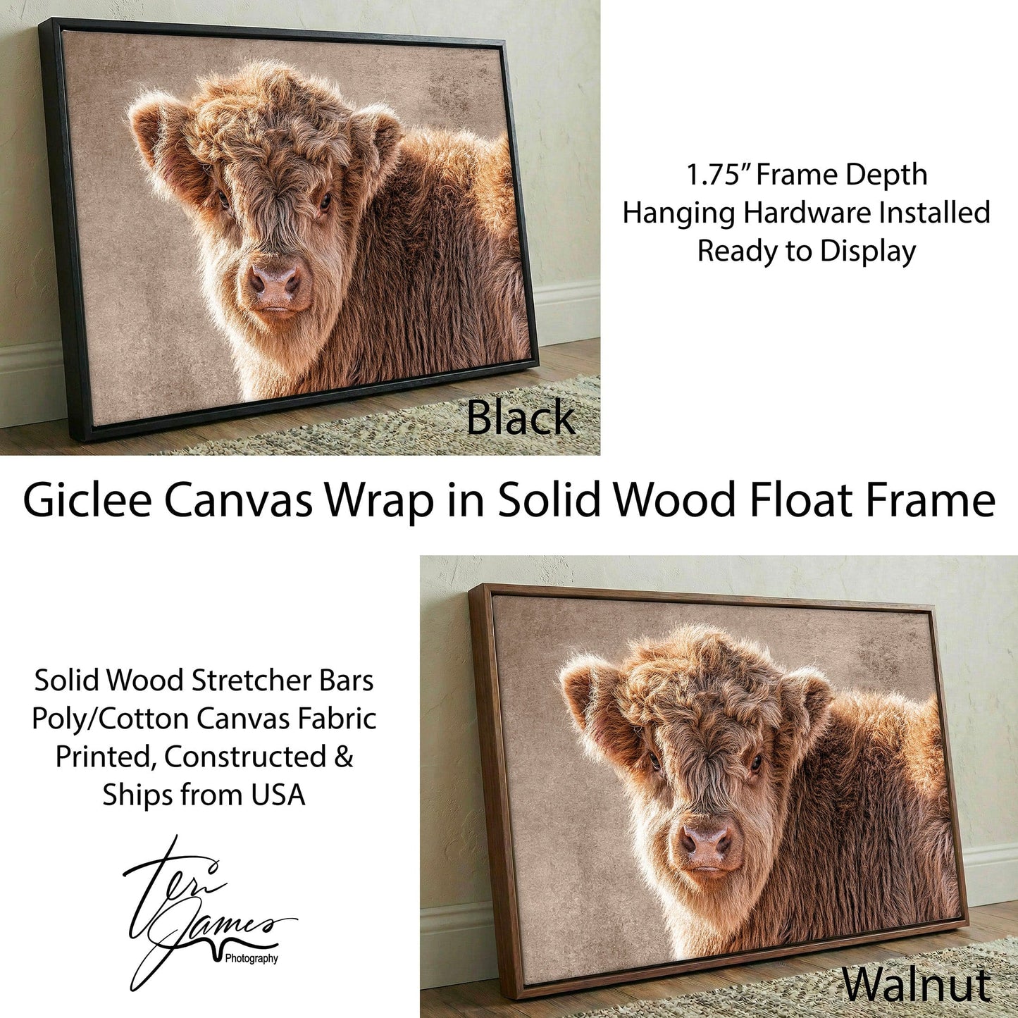 Highland Cow Nursery Canvas - Scottish Calf Wall Art for Baby Room Decor Canvas-Black Frame / 12 x 18 Inches Wall Art Teri James Photography