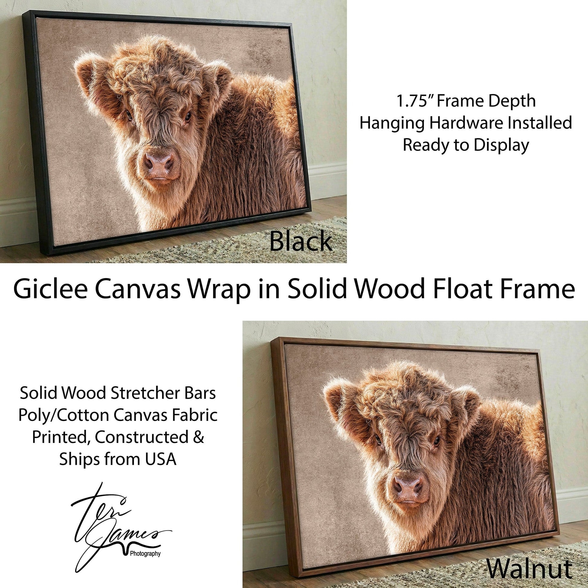 Highland Cow Nursery Canvas - Scottish Calf Wall Art for Baby Room Decor Canvas-Black Frame / 12 x 18 Inches Wall Art Teri James Photography