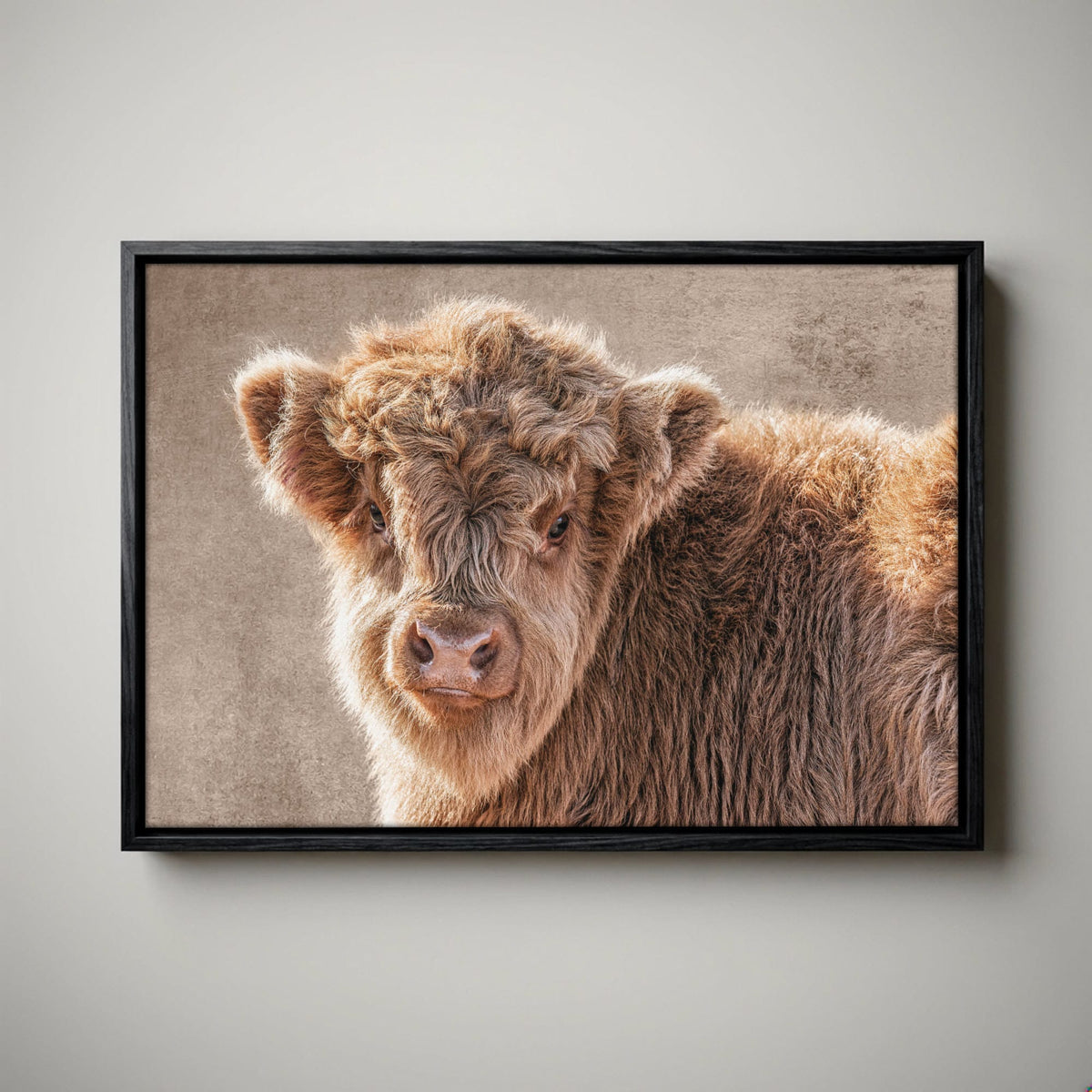 Highland Cow Nursery Canvas - Scottish Calf Wall Art for Baby Room