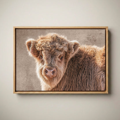 Highland Cow Nursery Canvas - Scottish Calf Wall Art for Baby Room Canvas-Natural Oak Float Frame / 12 x 18 Inches
