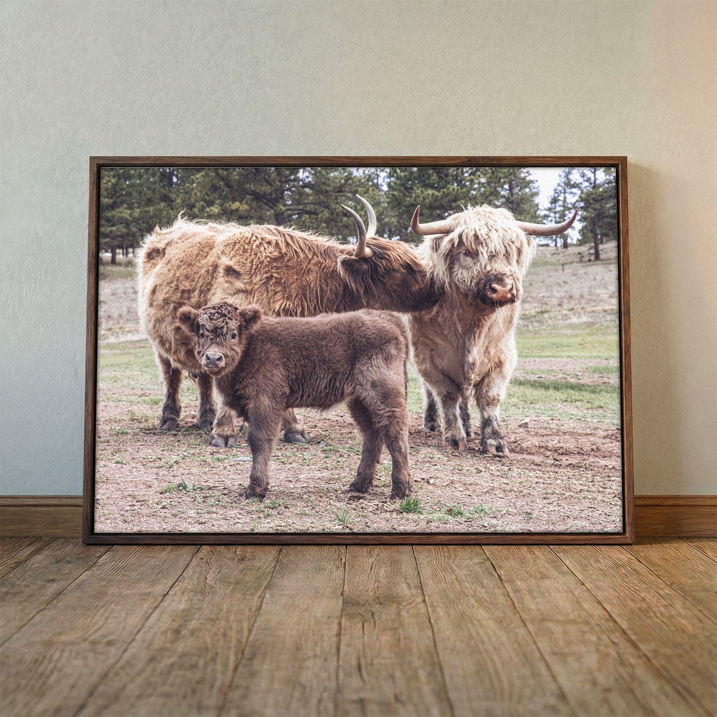 Highland Cow Nursery Wall Canvas Wall Art Teri James Photography