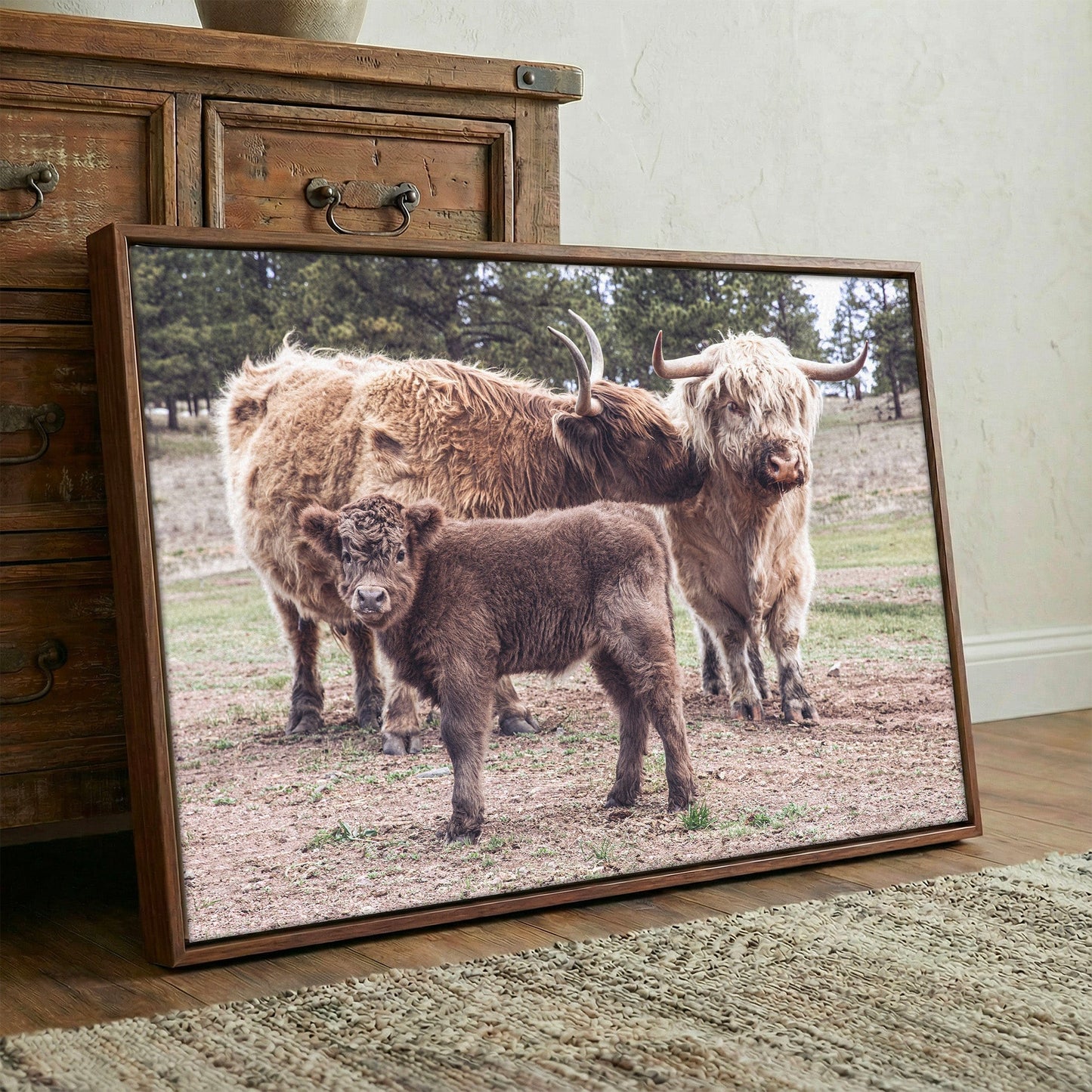 Highland Cow Nursery Wall Canvas Wall Art Teri James Photography