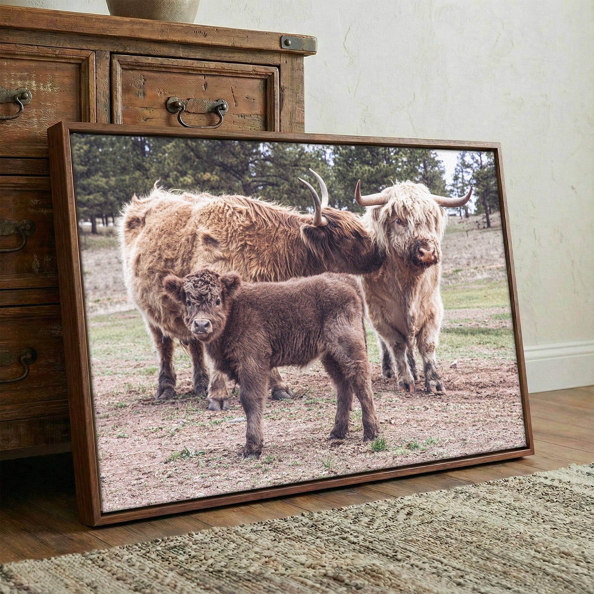 Highland Cow Nursery Wall Canvas Wall Art Teri James Photography