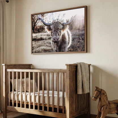 Highland Cow on Canvas Print Wall Art Teri James Photography