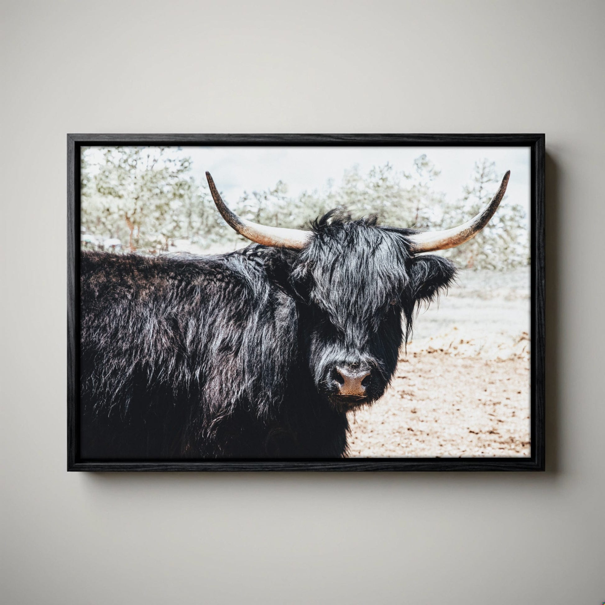 Highland Cow Picture - Rustic Farmhouse Framed Canvas Print