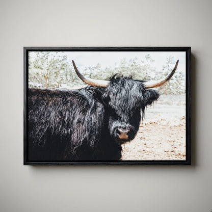 Highland Cow Picture - Rustic Farmhouse Framed Canvas Print