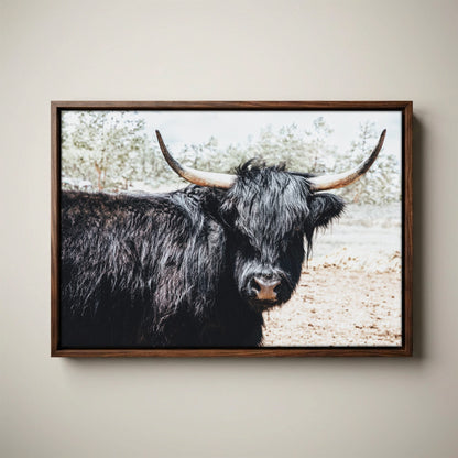 Highland Cow Picture - Rustic Farmhouse Framed Canvas Print