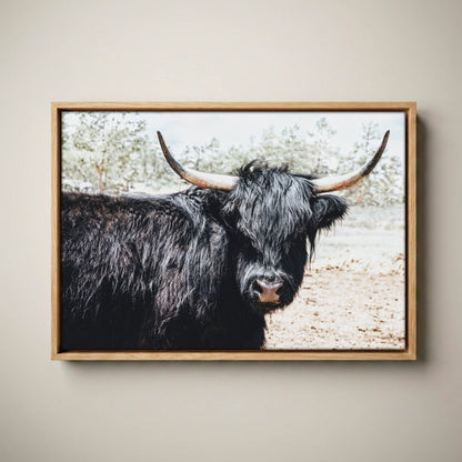 Highland Cow Picture - Rustic Farmhouse Framed Canvas Print Canvas-Natural Oak Float Frame / 12 x 18 Inches