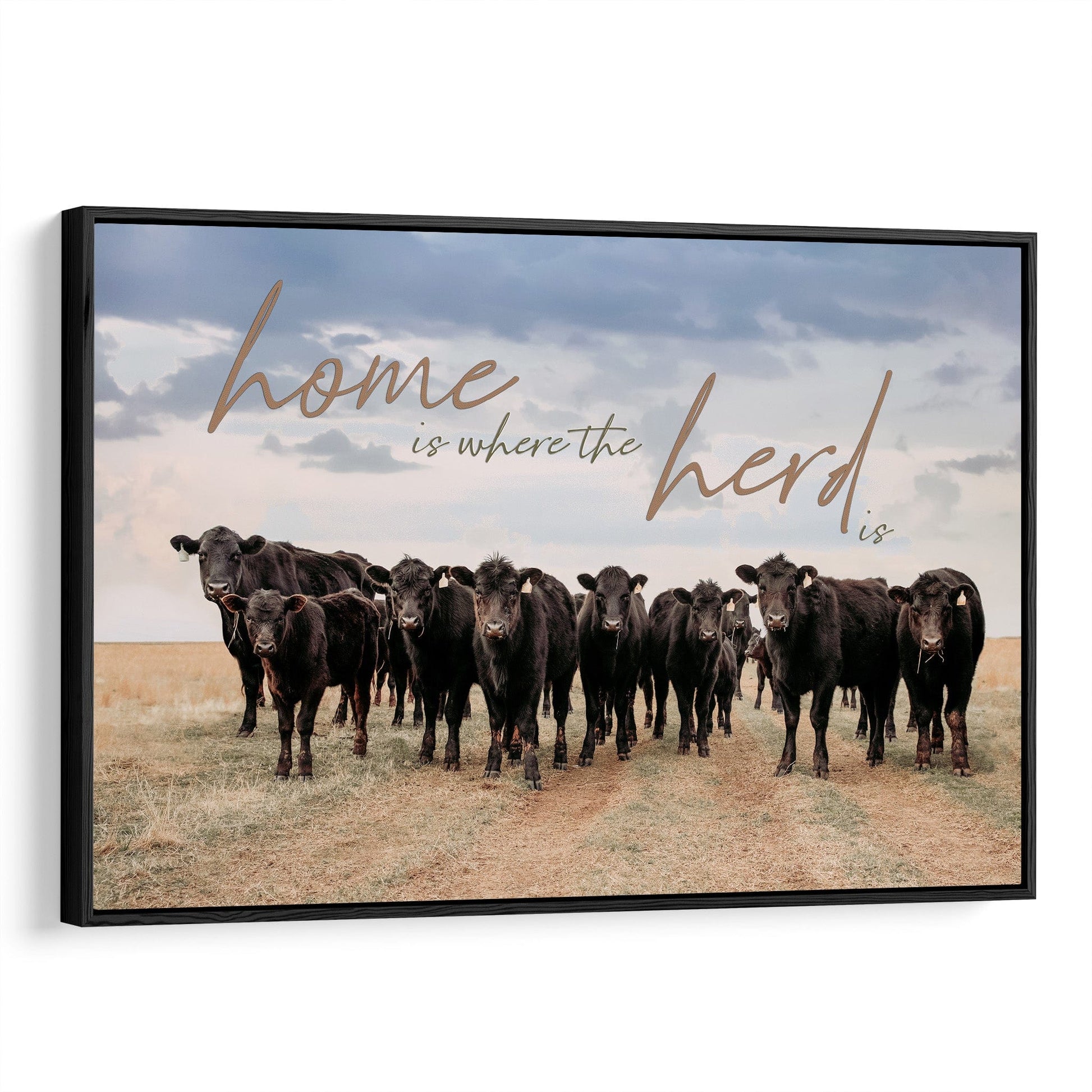 Home is Where the Herd Is - Black Angus Inspirational Canvas Canvas-Black Frame / 12 x 18 Inches Wall Art Teri James Photography