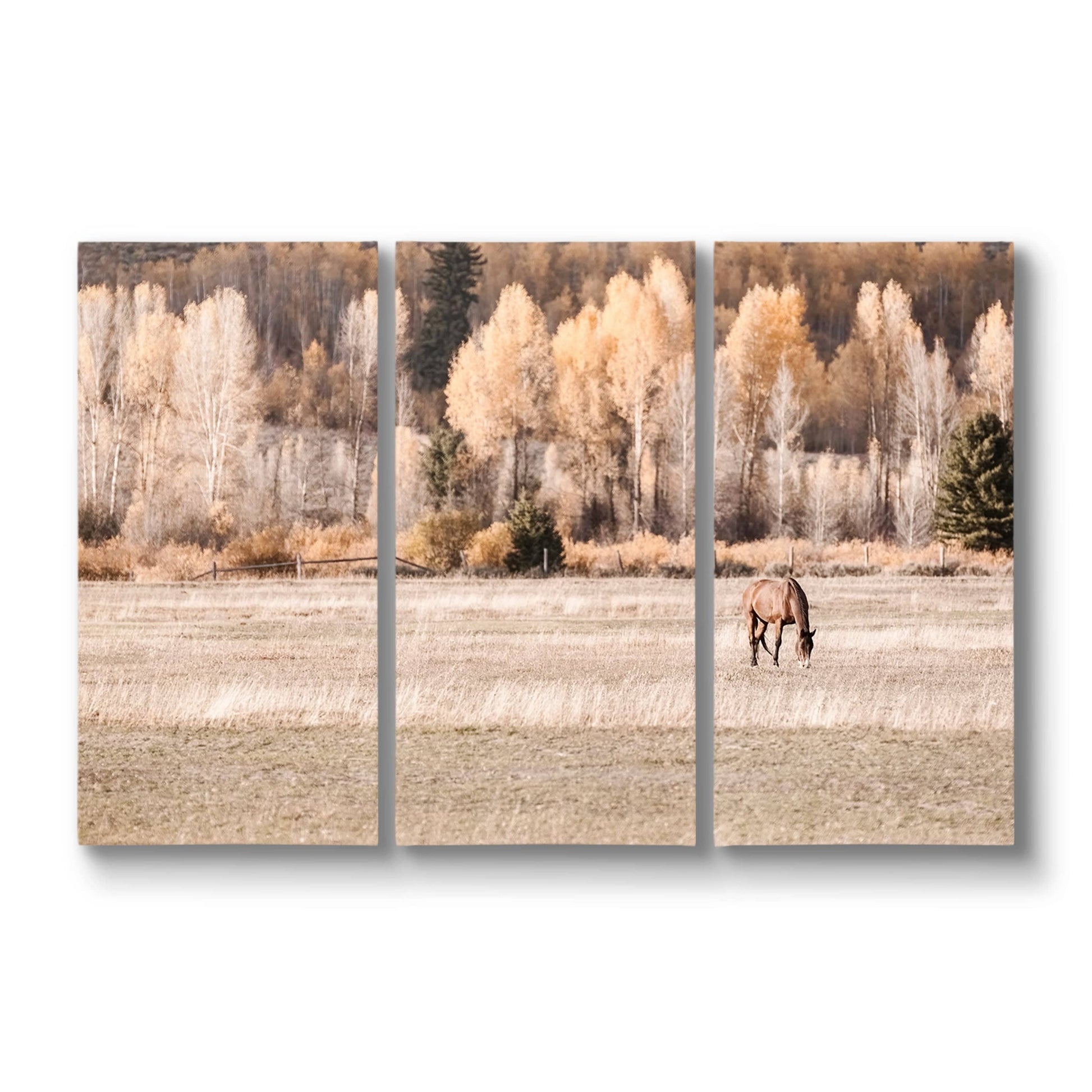 Horse Art for Large Wall - 3 Piece Canvas Triptych 48" x 72" (3 @ 24" x 48") Wall Art Teri James Photography