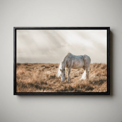 Horse Art Western Decor – Rustic Bedroom Decor