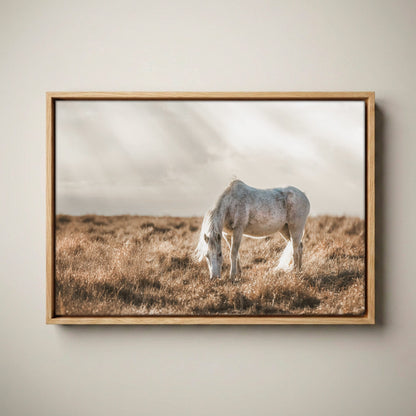 Horse Art Western Decor – Rustic Bedroom Decor Canvas-Natural Oak Float Frame / 12 x 18 Inches