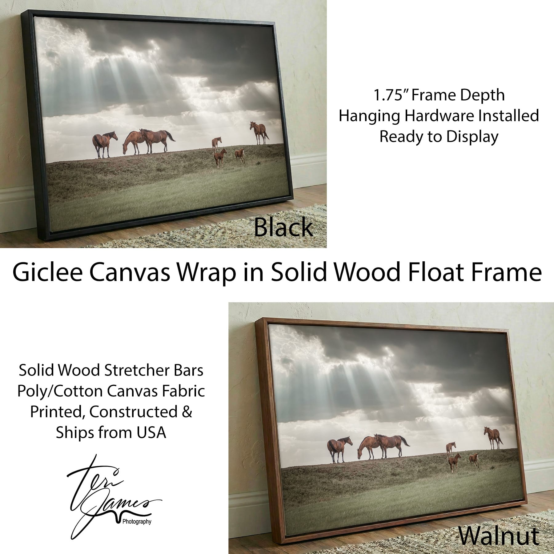 Horse Canvas Print - Western Wall Art