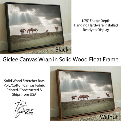 Horse Canvas Print - Western Wall Art