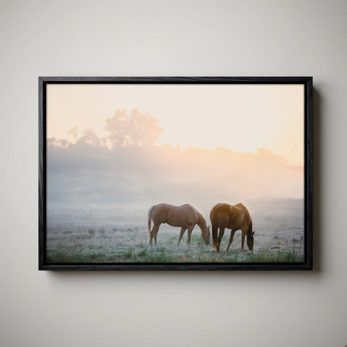 Horse Canvas Wall Art - Horses in Foggy Pasture