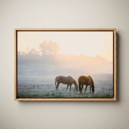 Horse Canvas Wall Art - Horses in Foggy Pasture Canvas-Natural Oak Float Frame / 12 x 18 Inches