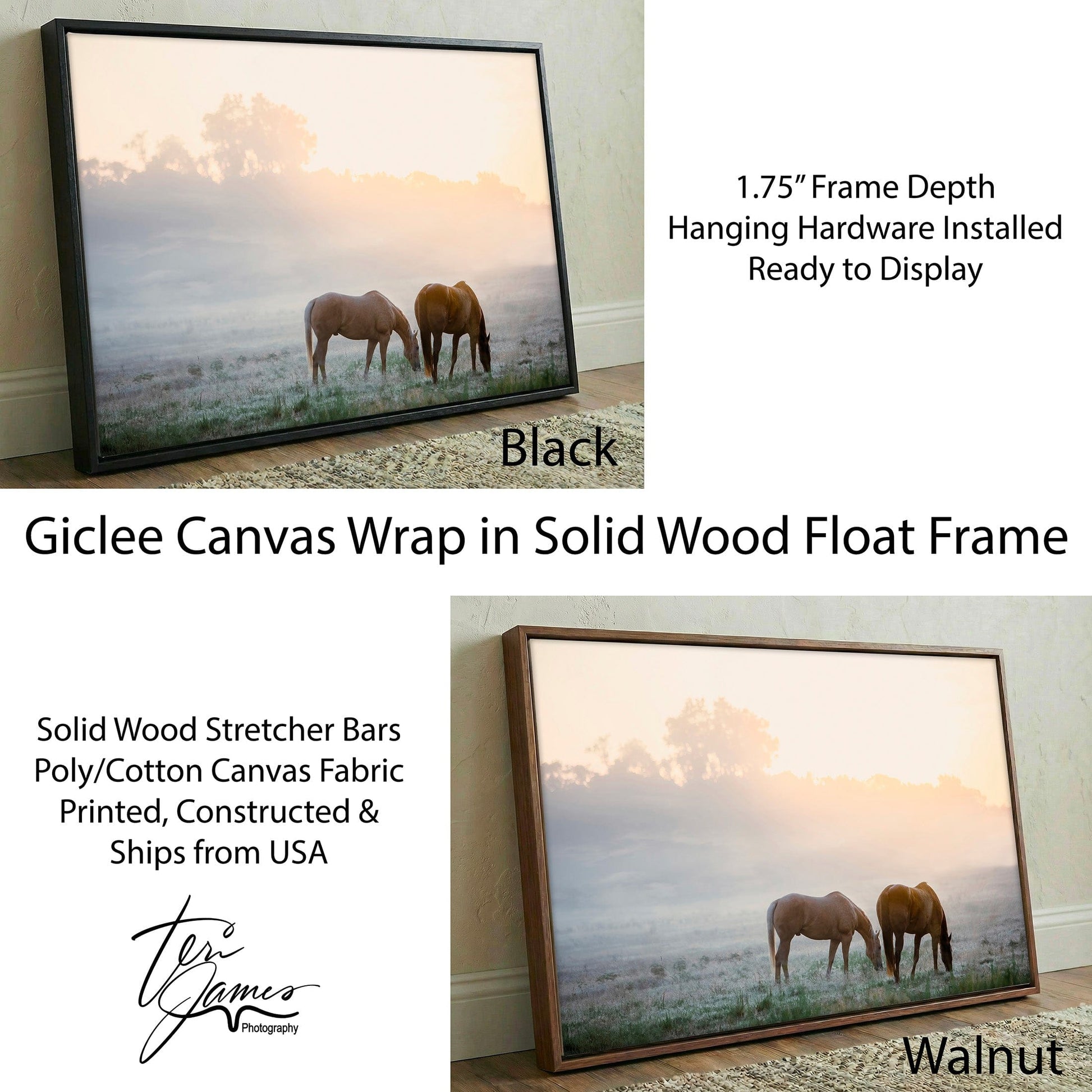 Horse Canvas Wall Art - Horses in Foggy Pasture Canvas-Black Frame / 12 x 18 Inches Wall Art Teri James Photography