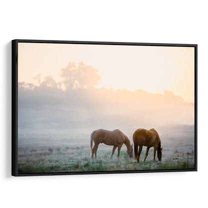 Horse Canvas Wall Art - Horses in Foggy Pasture Canvas-Black Frame / 12 x 18 Inches Wall Art Teri James Photography