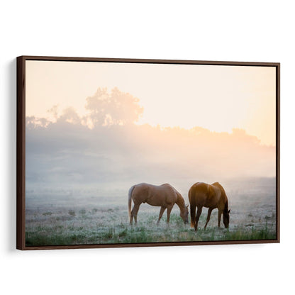Horse Canvas Wall Art - Horses in Foggy Pasture Canvas-Walnut Frame / 12 x 18 Inches Wall Art Teri James Photography