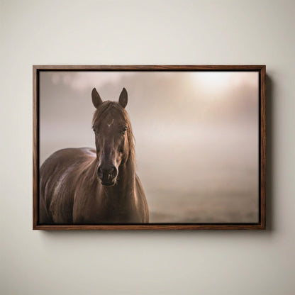 Horse Decor Canvas Print - Horse in Foggy Pasture