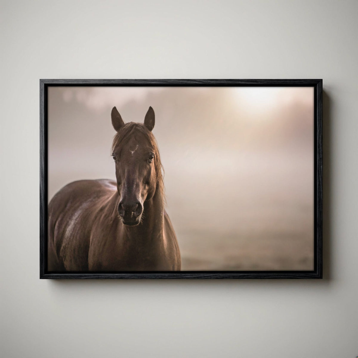 Horse Decor Canvas Print - Horse in Foggy Pasture