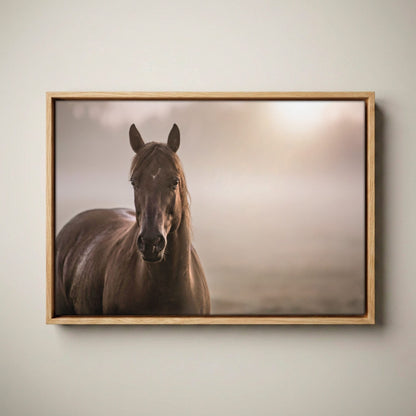 Horse Decor Canvas Print - Horse in Foggy Pasture Canvas-Natural Oak Float Frame / 12 x 18 Inches