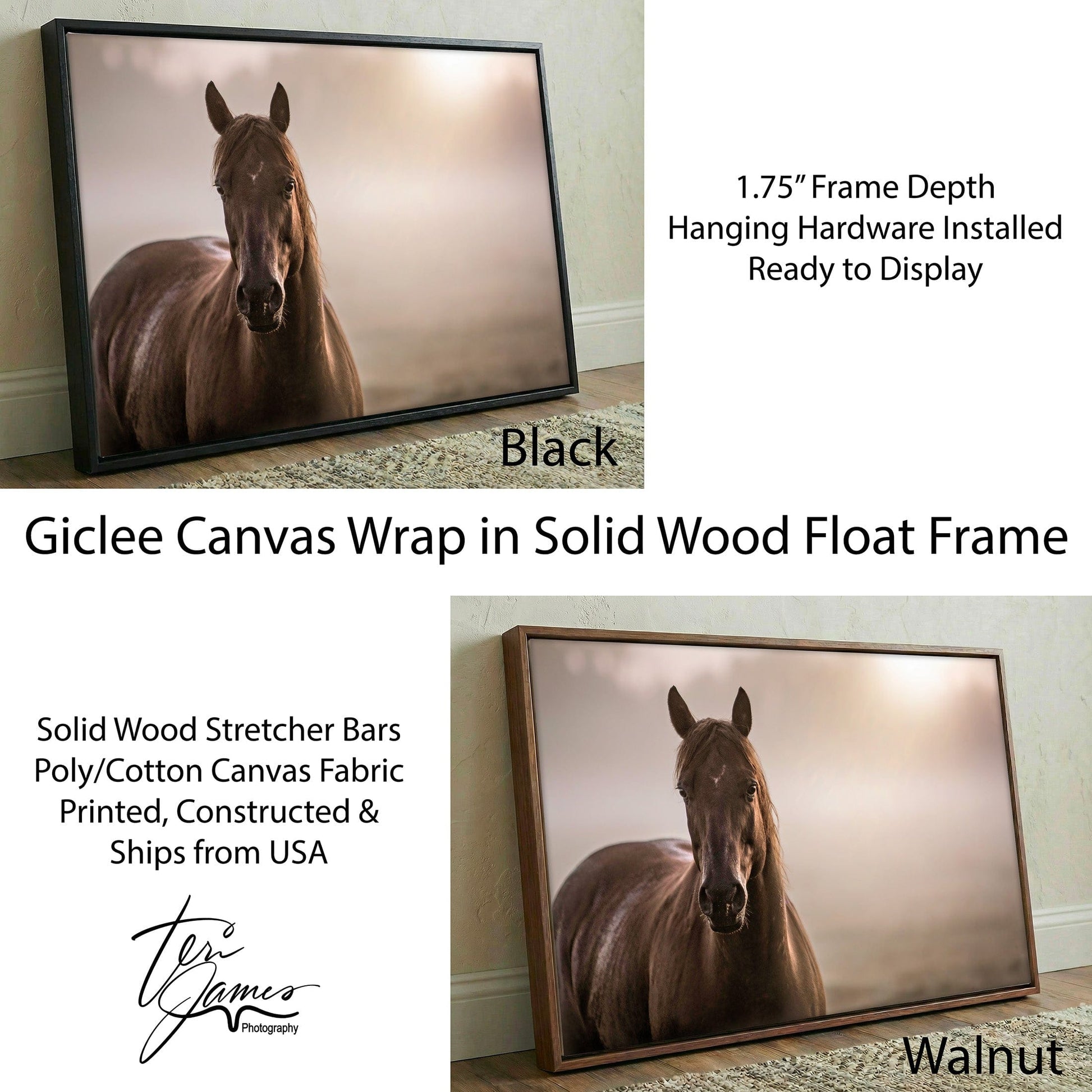 Horse Decor Canvas Print - Horse in Foggy Pasture Canvas-Black Frame / 12 x 18 Inches Wall Art Teri James Photography