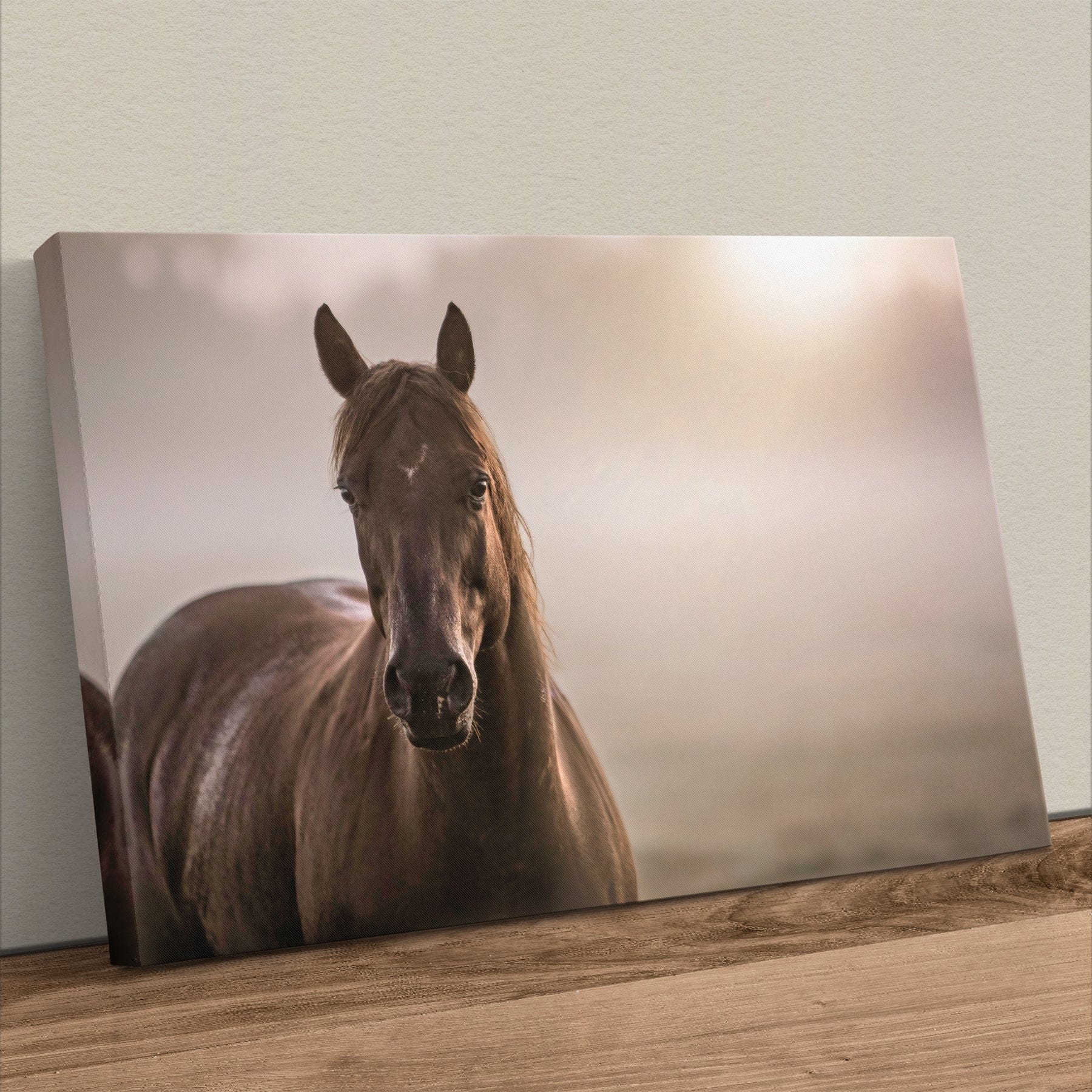 Horse Decor Canvas Print - Horse in Foggy Pasture Canvas-Unframed / 12 x 18 Inches Wall Art Teri James Photography